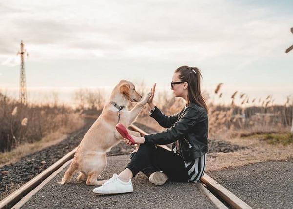 Thú cưng là món quà tinh tế đến với nàng