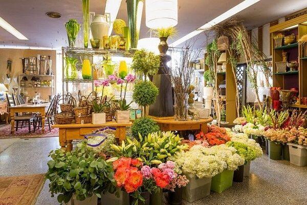 Kinh nghiệm chọn hoa 20/11 tặng thầy cô: chú ý sở thích, độ tươi, chất lượng hoa