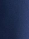 color Xanh Navy